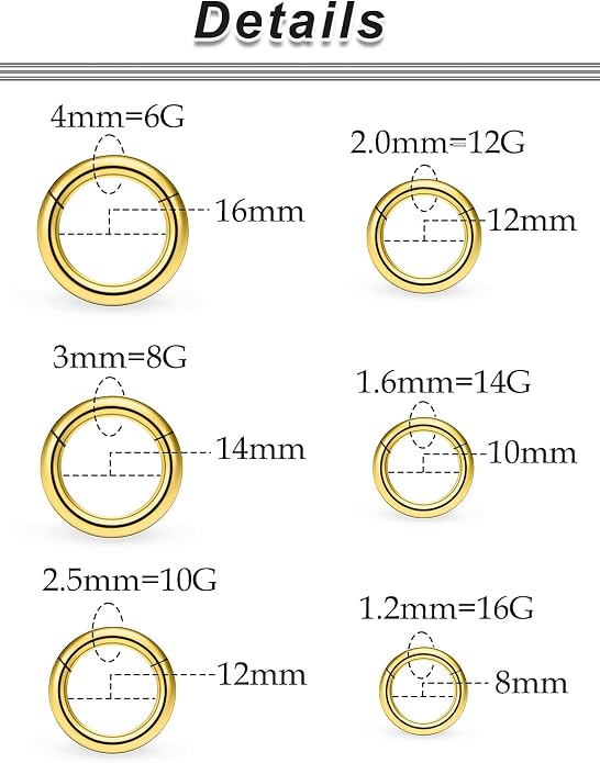 20G-2G Surgical Steel Hinged Clicker Septum Nose Rings Gauges Earrings Seamless Hoops Eyebrow Lip Ring Cliker Helix Tragus Daith Rook Earrings for Women Men