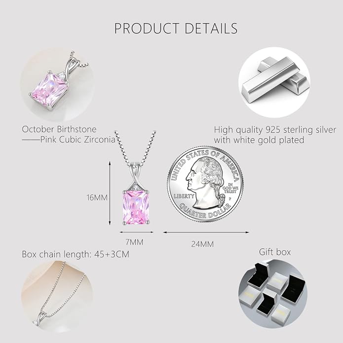 Fahonie 925 Sterling Silver Birthstone Necklace Jewelry Gift for Women Sister Wife Girlfriend Her