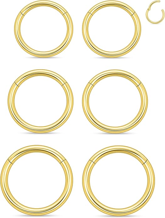 20G 18G 16G 14G 12G 10G 8G 6G 4G 2G Nose Rings Hoops 316l Surgical Steel Clicker Septum Lip Ring Tragus Helix Daith Rook Conch Snug Cartilage Lobe Earrings Hoop Piercing Jewelry For Women Men