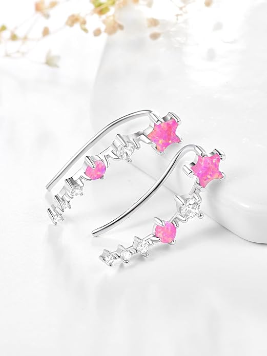 Dreamboat Star Ear Climbers Earrings for Women 925 Sterling Silver Star Ear Cuffs Crawler Earring Cubic Zirconia Climbing Jewelry Wedding Birthday Gifts