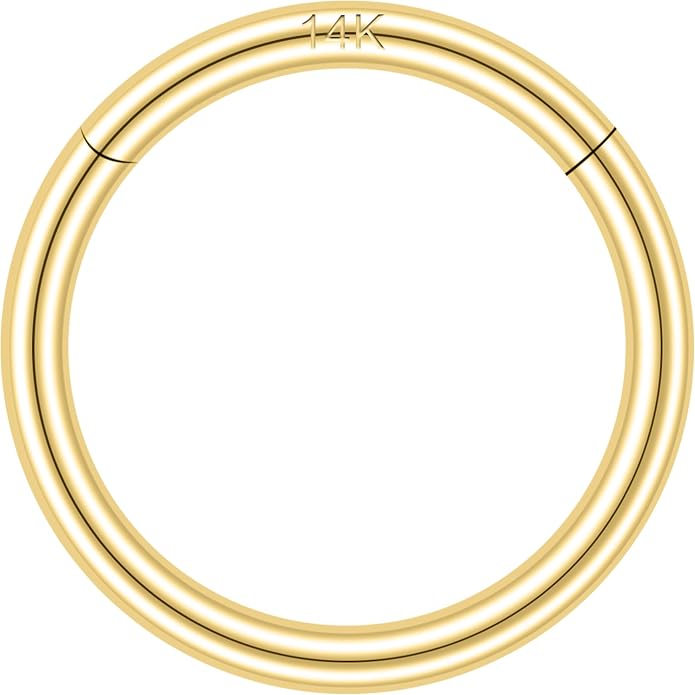 SYLWIA 14K Solid Gold 18g/16g Nose Rings, 6/8/10mm Hinged Segment Septum Rings, Real Gold Lip Tragus Helix Cartilage Conch Earring Hoops Piercing for Women Men