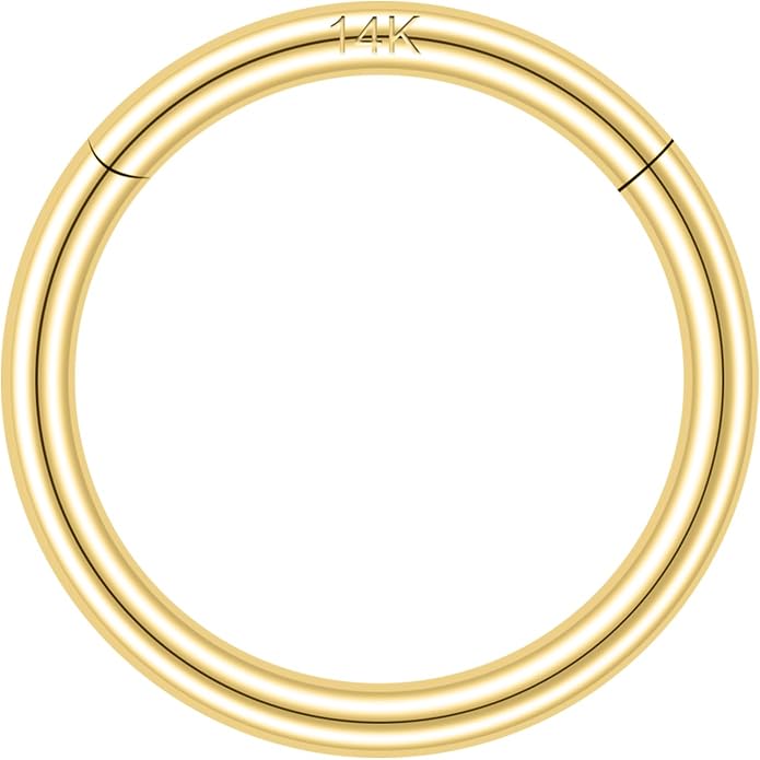 SYLWIA 14K Solid Gold 18g/16g Nose Rings, 6/8/10mm Hinged Segment Septum Rings, Real Gold Lip Tragus Helix Cartilage Conch Earring Hoops Piercing for Women Men