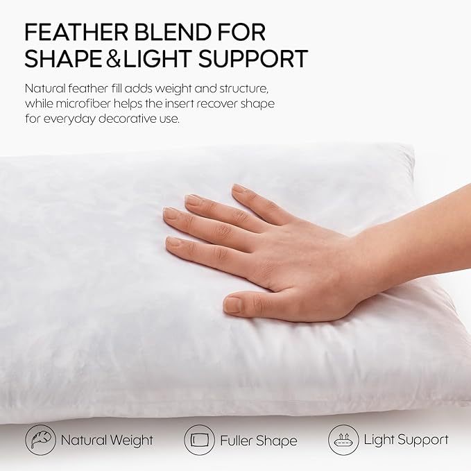 Euro Pillow Inserts Set of 2, Soft Fluffy Square 26 x 26 Inches Decorative Pillow Insert, Feather and Down Filled Throw Pillows