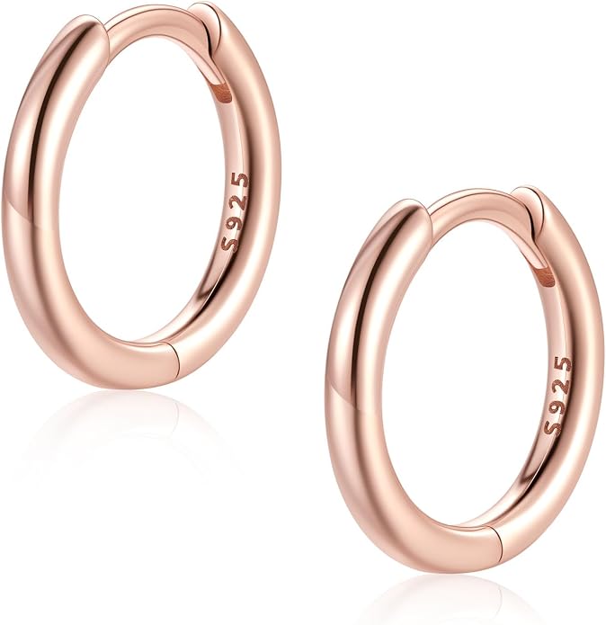 FaithHeart 925 Sterling Silver Huggie Hoop Earrings, Small Hoop Earring for Women, Silver/14K Gold/Black/Rose Gold Hypoallergenic Cartilage Earrings for Women 8/10/12/14/16/18/20mm