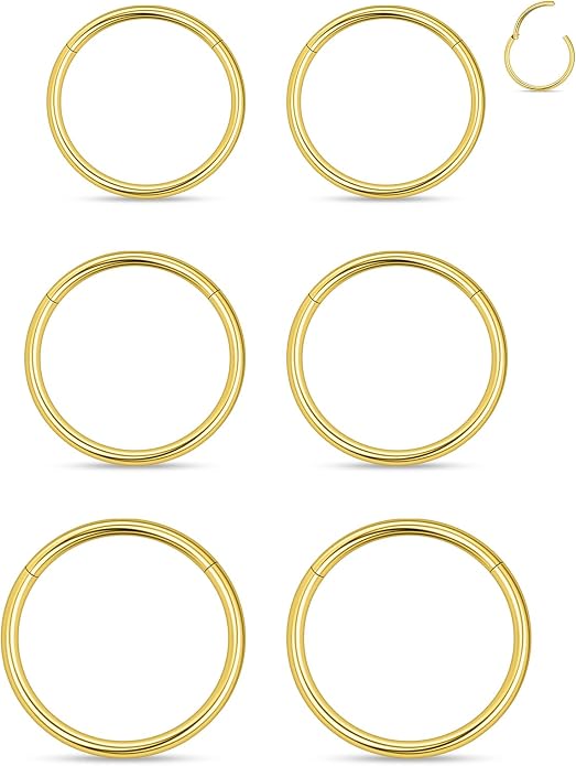 20G 18G 16G 14G 12G 10G 8G 6G 4G 2G Nose Rings Hoops 316l Surgical Steel Clicker Septum Lip Ring Tragus Helix Daith Rook Conch Snug Cartilage Lobe Earrings Hoop Piercing Jewelry For Women Men