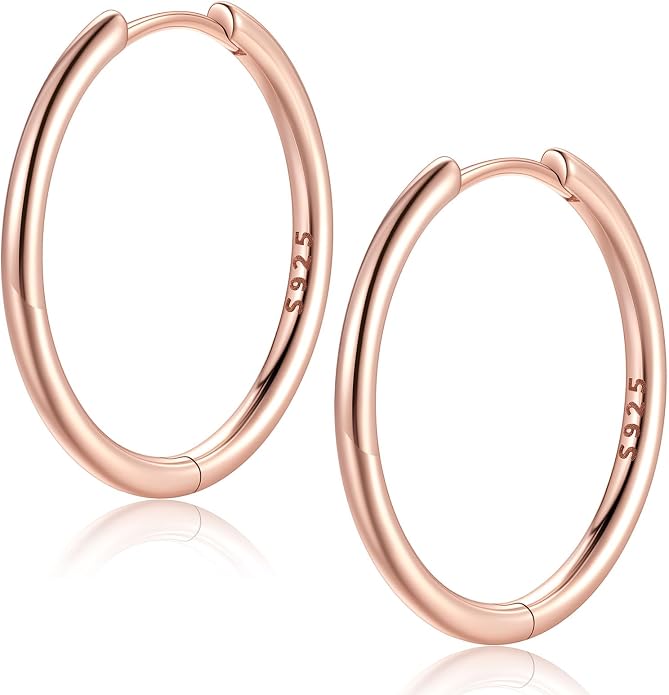 FaithHeart 925 Sterling Silver Huggie Hoop Earrings, Small Hoop Earring for Women, Silver/14K Gold/Black/Rose Gold Hypoallergenic Cartilage Earrings for Women 8/10/12/14/16/18/20mm