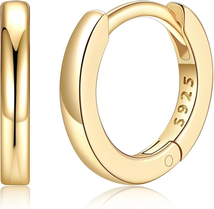 Silvora Sterling Silver Hoop Earrings for Women, Small Hoops 14K Gold Plated/925 Silver/Rose Gold/Black, Hypoallergenic Huggie Lightweight Cartilage Sleeper Earrings 8/10/12/14/16/18/20mm