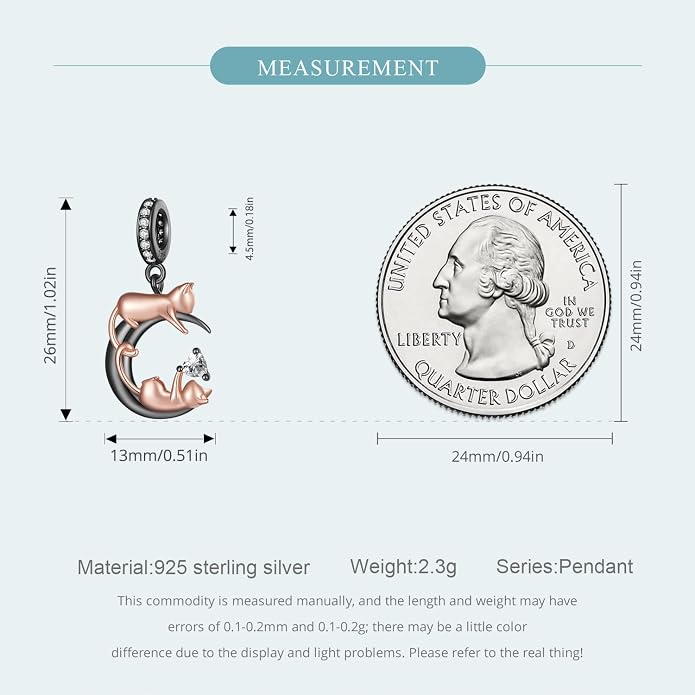 NINGAN 925 Sterling Silver Charm Golden Love Charm Buckle Safety Chain Travel Bead Firefly Dragonfly Pendant, Suitable for Women Bracelet and Necklace as Gift from Mom and Friends