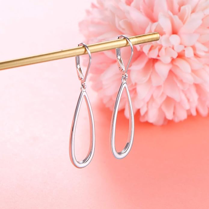 S925 Sterling Silver Vertical Drop Dangle Earrings Gift for Women Teenage