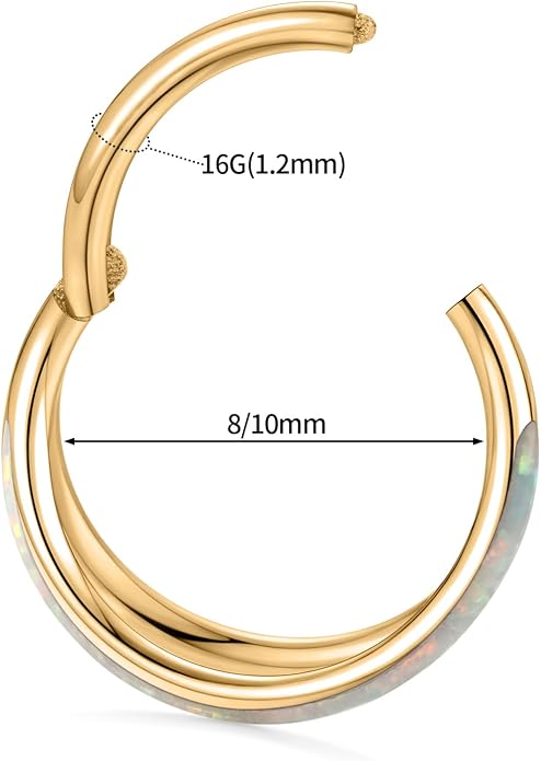 316L Surgical Steel Septum Clicker Ring Nose Ring Hoop Sleeper Hoop Earring Helix Rook Conch Cartilage Daith Tragus Earrings Lobe Nose Piercing Jewelry for Women