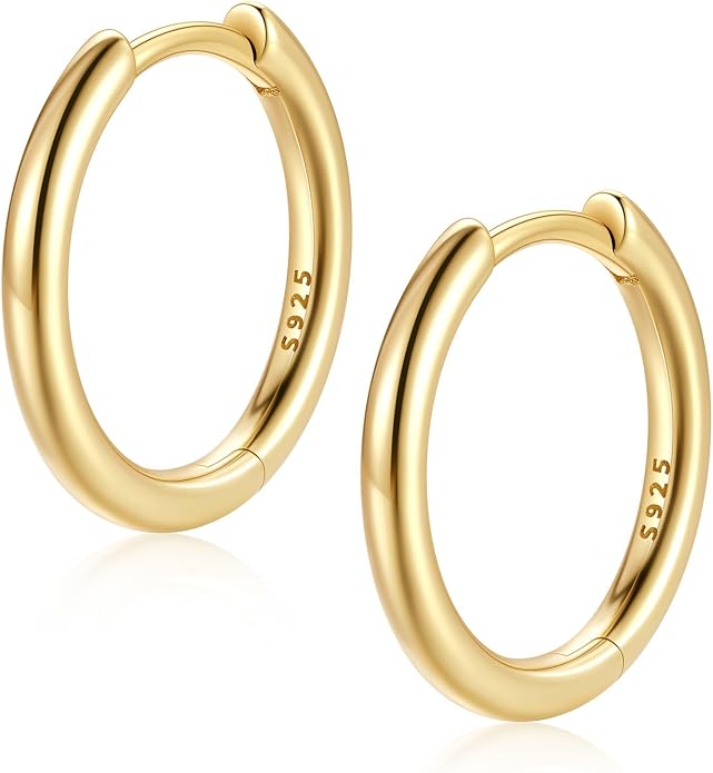 FaithHeart 925 Sterling Silver Huggie Hoop Earrings, Small Hoop Earring for Women, Silver/14K Gold/Black/Rose Gold Hypoallergenic Cartilage Earrings for Women 8/10/12/14/16/18/20mm