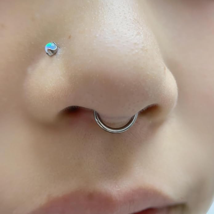 20G-2G Surgical Steel Hinged Clicker Septum Nose Rings Gauges Earrings Seamless Hoops Eyebrow Lip Ring Cliker Helix Tragus Daith Rook Earrings for Women Men