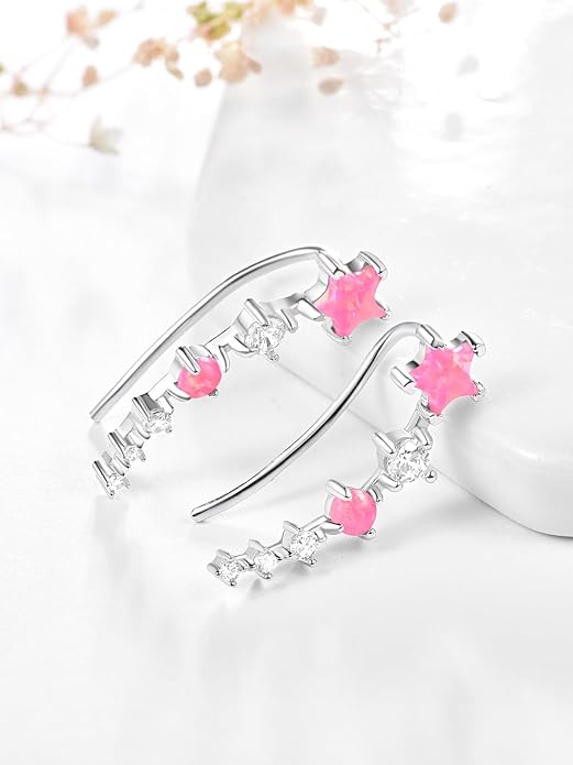 Dreamboat Star Ear Climbers Earrings for Women 925 Sterling Silver Star Ear Cuffs Crawler Earring Cubic Zirconia Climbing Jewelry Wedding Birthday Gifts