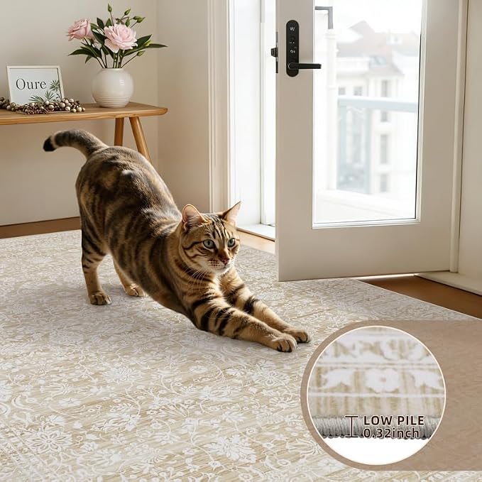 6x9 Area Rugs for Living Room: Vintage Boho Neutral Washable Rug Indoor Soft Large Area Rug Carpet for Bedroom Nursery Farmhouse Dining Room Office Floor Non-Slip Low Pile Under Table Natural Beige