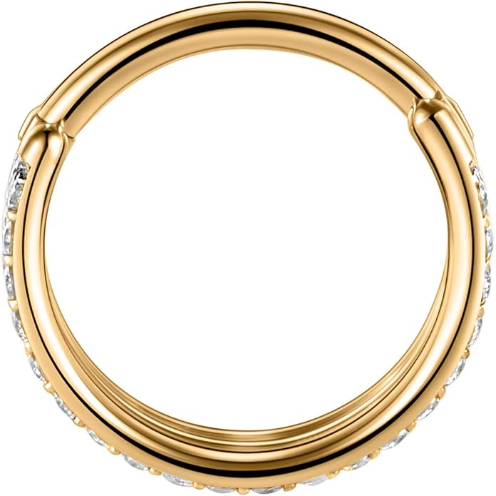 316L Surgical Steel Septum Clicker Ring Nose Ring Hoop Sleeper Hoop Earring Helix Rook Conch Cartilage Daith Tragus Earrings Lobe Nose Piercing Jewelry for Women