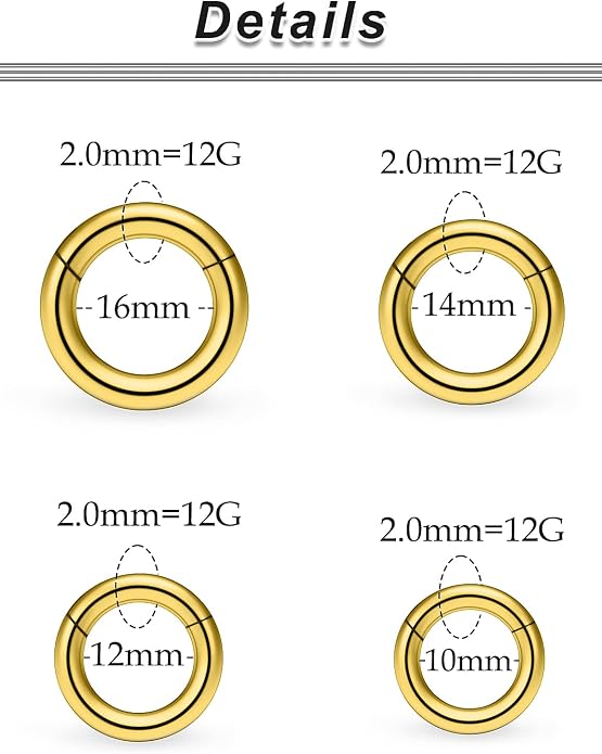 20G-2G Surgical Steel Hinged Clicker Septum Nose Rings Gauges Earrings Seamless Hoops Eyebrow Lip Ring Cliker Helix Tragus Daith Rook Earrings for Women Men