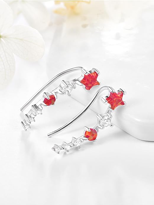Dreamboat Star Ear Climbers Earrings for Women 925 Sterling Silver Star Ear Cuffs Crawler Earring Cubic Zirconia Climbing Jewelry Wedding Birthday Gifts