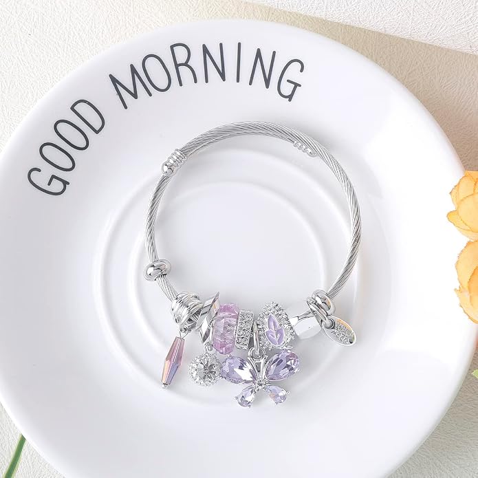 DS Charm Bracelets for girls,exquisite cute cartoon friendship bracelets Silver Stainless Steel Bangle with birthday Gift box, Adjustable girls jewelry Suitable for holiday gifts