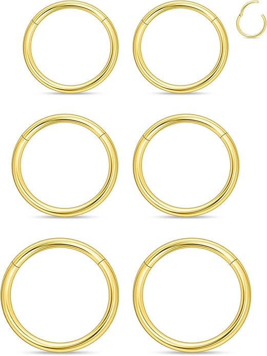 20G 18G 16G 14G 12G 10G 8G 6G 4G 2G Nose Rings Hoops 316l Surgical Steel Clicker Septum Lip Ring Tragus Helix Daith Rook Conch Snug Cartilage Lobe Earrings Hoop Piercing Jewelry For Women Men