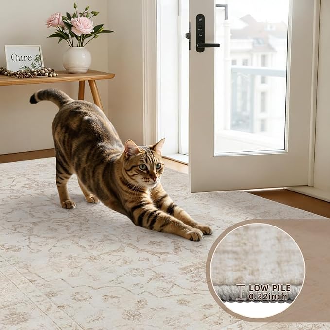 6x9 Area Rugs for Living Room: Vintage Boho Neutral Washable Rug Indoor Soft Large Area Rug Carpet for Bedroom Nursery Farmhouse Dining Room Office Floor Non-Slip Low Pile Under Table Rug Warm Beige