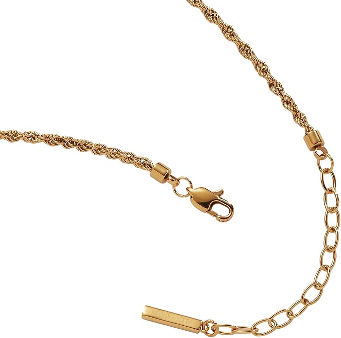 Alex and Ani Mini Rope Chain