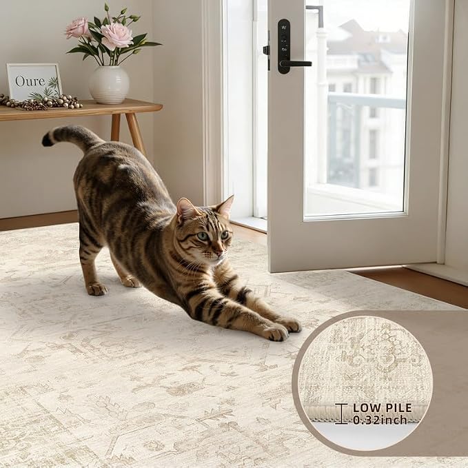 Machine Washable Area Rugs 2x3: Vintage Boho Neutral Washable Rug Indoor Soft Small Entryway Throw Carpet for Living Room Bedroom Kitchen Laundry Floor Non-Slip Low Pile Entrance Rug Beige/Brown