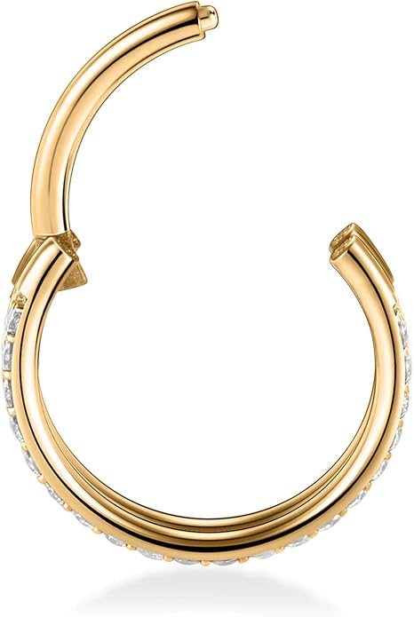 316L Surgical Steel Septum Clicker Ring Nose Ring Hoop Sleeper Hoop Earring Helix Rook Conch Cartilage Daith Tragus Earrings Lobe Nose Piercing Jewelry for Women