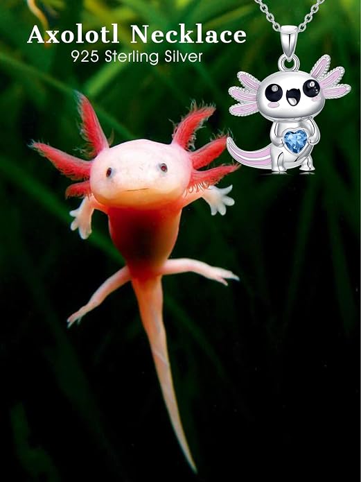 Dorunmo Axolotl Necklace 925 Sterling Silver Axolotl Birthstone Pendant Cute Animal Axolotl Jewelry Gifts for Women