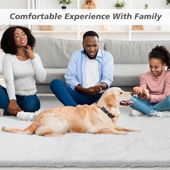 Small Rugs for Bedroom 2x3 Fluffy, Soft Fuzzy Area Rug for Living Room Dorm, Non Slip Shag Rugs for Girls Boys Bedroom, Soft Carpet, Modern Home Decor Aesthetic(2 x 3, White)