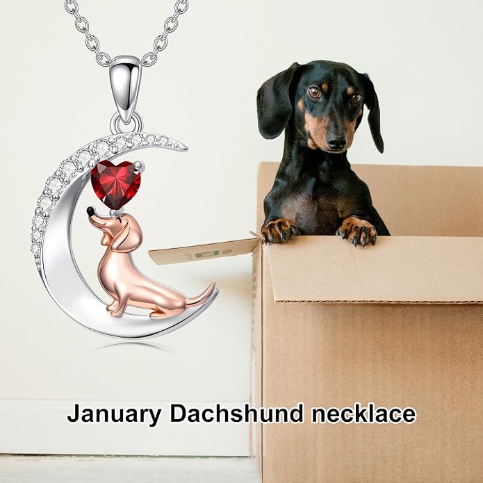 PROESS Animal Birthstone Necklace 925 Sterling Silver Otter/Axolotl/Hippo/Elephant/Dachshund/Monkey/Red Panda Pendant Necklace Animal Birthstone Jewelry Gifts for Women
