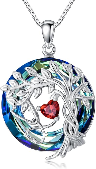Birthstone Veterinary Stethoscope Necklace 925 Sterling Silver Nurse Vet Pendant with Dog Paw Nurse Jewelry Gifts for Veterinarian Nurse Women Veterinarian Gifts
