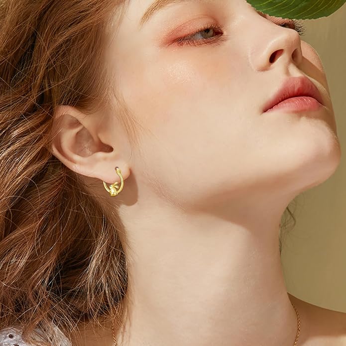 Cute Animal Leverback Earring 925 Sterling Silver Summer Bohemia Beach Theme Earrings for Women