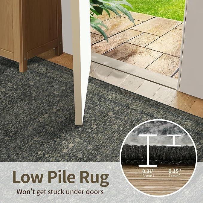 Rugxara 2x3 Entryway Rug Door Mat Indoor Entrance, Washable Non Slip Kitchen Bathroom Rugs, Ultra-Thin Throw Small Rug for Front Door/Indoor Entrances, Moss Brown
