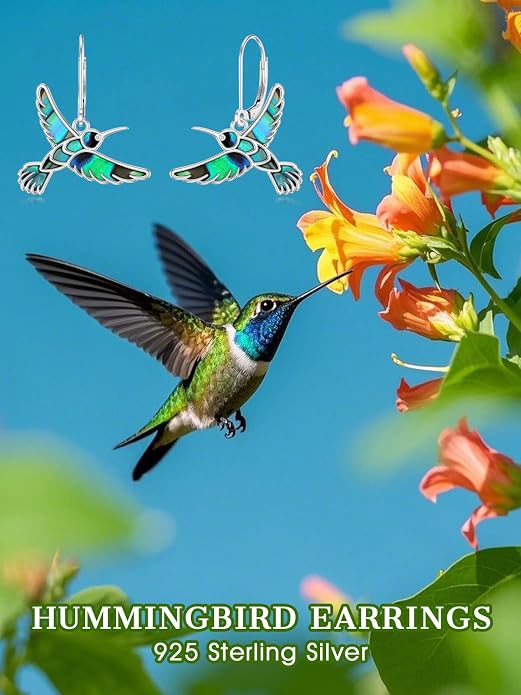 Hummingbird Earrings 925 Sterling Silver Abalone Shell Bird Dangle Earrings Hummingbird Jewelry Gifts for Women