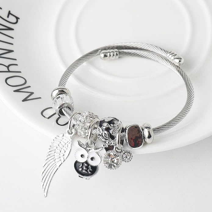 DS Charm Bracelets for girls,exquisite cute cartoon friendship bracelets Silver Stainless Steel Bangle with birthday Gift box, Adjustable girls jewelry Suitable for holiday gifts
