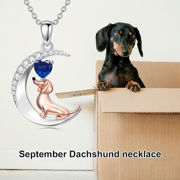 PROESS Animal Birthstone Necklace 925 Sterling Silver Otter/Axolotl/Hippo/Elephant/Dachshund/Monkey/Red Panda Pendant Necklace Animal Birthstone Jewelry Gifts for Women