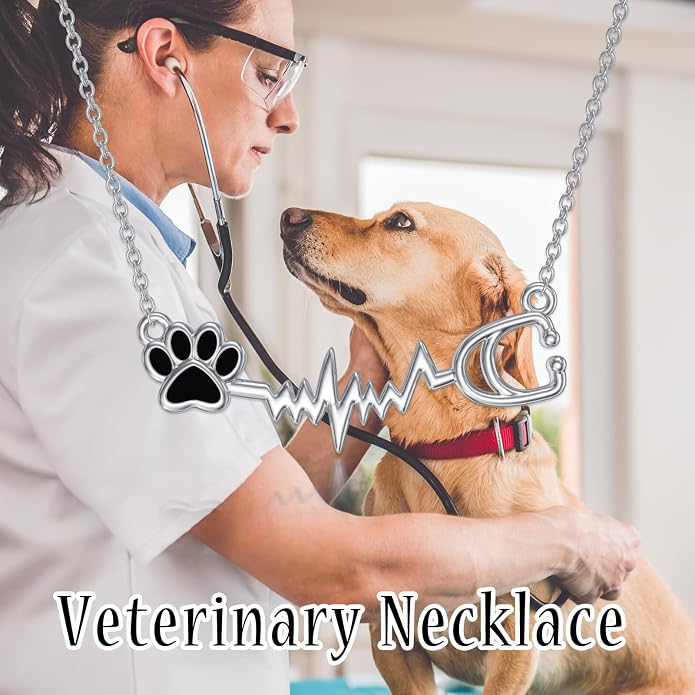 Birthstone Veterinary Stethoscope Necklace 925 Sterling Silver Nurse Vet Pendant with Dog Paw Nurse Jewelry Gifts for Veterinarian Nurse Women Veterinarian Gifts