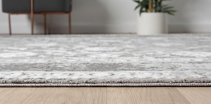 Amber Traditional Floral Area Rug for Living Room, 4x6 Vintage Persian-Inspired Gray Rug, Medium Pile Stain Resistant Carpet for Bedroom, Dining Room or Kitchen (4' x 6', Gray)