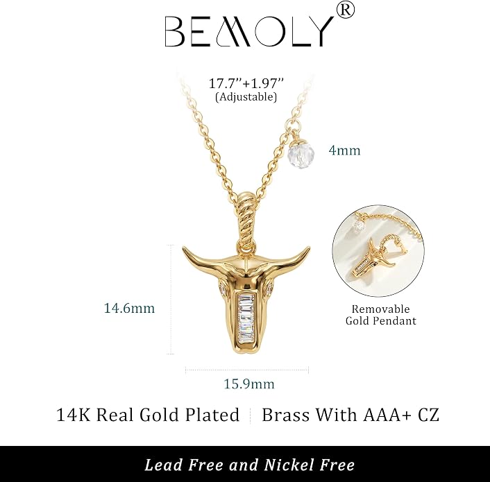 Fashion Dainty Necklace for Women - 14K Gold Plated Detachable Pendant with Cubic Zirconia Accent, Hypoallergenic Layering Jewelry for Women, Trendy Storm Charm Necklace for Daily Wear & Gifting