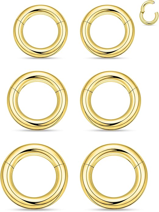 20G 18G 16G 14G 12G 10G 8G 6G 4G 2G Nose Rings Hoops 316l Surgical Steel Clicker Septum Lip Ring Tragus Helix Daith Rook Conch Snug Cartilage Lobe Earrings Hoop Piercing Jewelry For Women Men