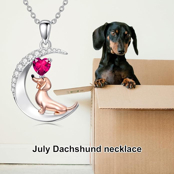 PROESS Animal Birthstone Necklace 925 Sterling Silver Otter/Axolotl/Hippo/Elephant/Dachshund/Monkey/Red Panda Pendant Necklace Animal Birthstone Jewelry Gifts for Women