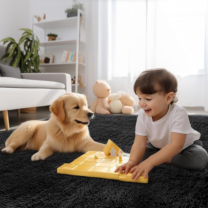 Sour Lemon Area Rugs 9x12 Living Room Bedroom, Large Fluffy Shag Black | Shaggy Carpet, Soft Plush Furry Bedside Rugs, Anti Slip, Washable Area Modern Rugs Floor Mat for Kids Girls Boys Living Room
