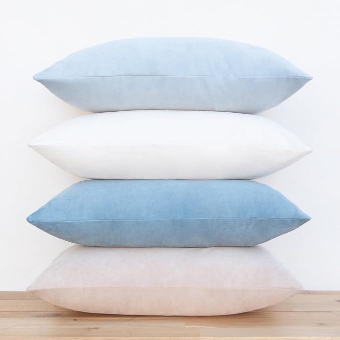 MONDAY MOOSE Decorative Throw Pillow Covers Cushion Cases, Set of 4 Soft Velvet Modern Designs, Mix and Match for Home Decor, Pillow Inserts Not Included (12x20 inch, Beige/Light Blue)