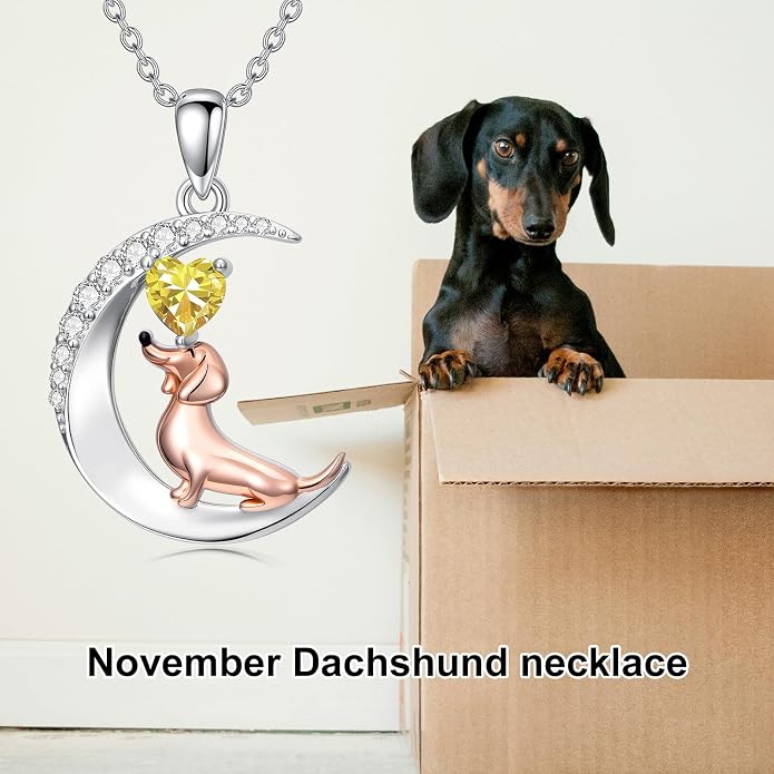 PROESS Animal Birthstone Necklace 925 Sterling Silver Otter/Axolotl/Hippo/Elephant/Dachshund/Monkey/Red Panda Pendant Necklace Animal Birthstone Jewelry Gifts for Women