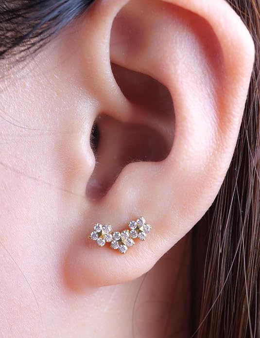 Limerencia 2Pcs 18g Titanium Internally Threaded Tragus Piercing Jewelry Nose Studs Flat Back Earrings Labret, Lip, Helix, Cartilage, Conch, Medusa Piercing for Women Men Sensitive Ears
