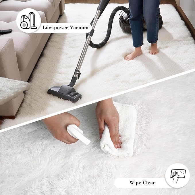 Fluffy Rug Shag Area Rug, White 2x4 Area Rugs for Bedroom, Small Bedside Rug, Soft Fluffy Shag Entryway Throw Rugs for Living Room Bedroom Room Home Decor