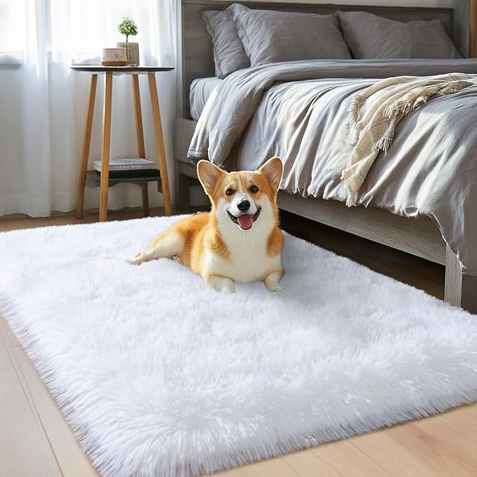 qulint 2x3 White Rug for Bedroom, Fluffy Shag Small Carpet for Living Room | Soft Shaggy Fuzzy Modern Rug for Besides Kids Girls Boys Dorm Room Classroom Christmas Home Decor Aesthetic