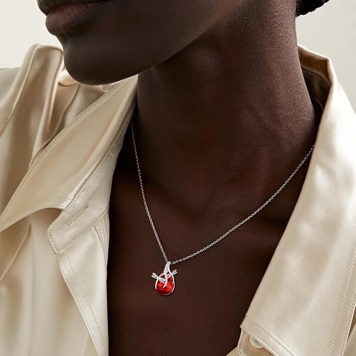 PRAYMOS S925 Sterling Silver Birthstone Necklaces for Women Dainty CZ Necklace Dragonfly Pendant Minimalist Jewelry Gift