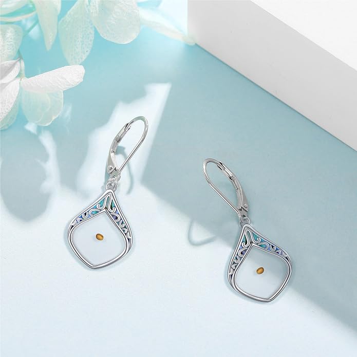Mustard Seed Earrings Sterling Silver Mustard Seed Faith Teardrop Dangle Earrings Christian Jewelry Gifts for Women