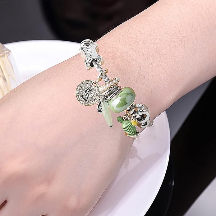 DS Charm Bracelets for girls,exquisite cute cartoon friendship bracelets Silver Stainless Steel Bangle with birthday Gift box, Adjustable girls jewelry Suitable for holiday gifts